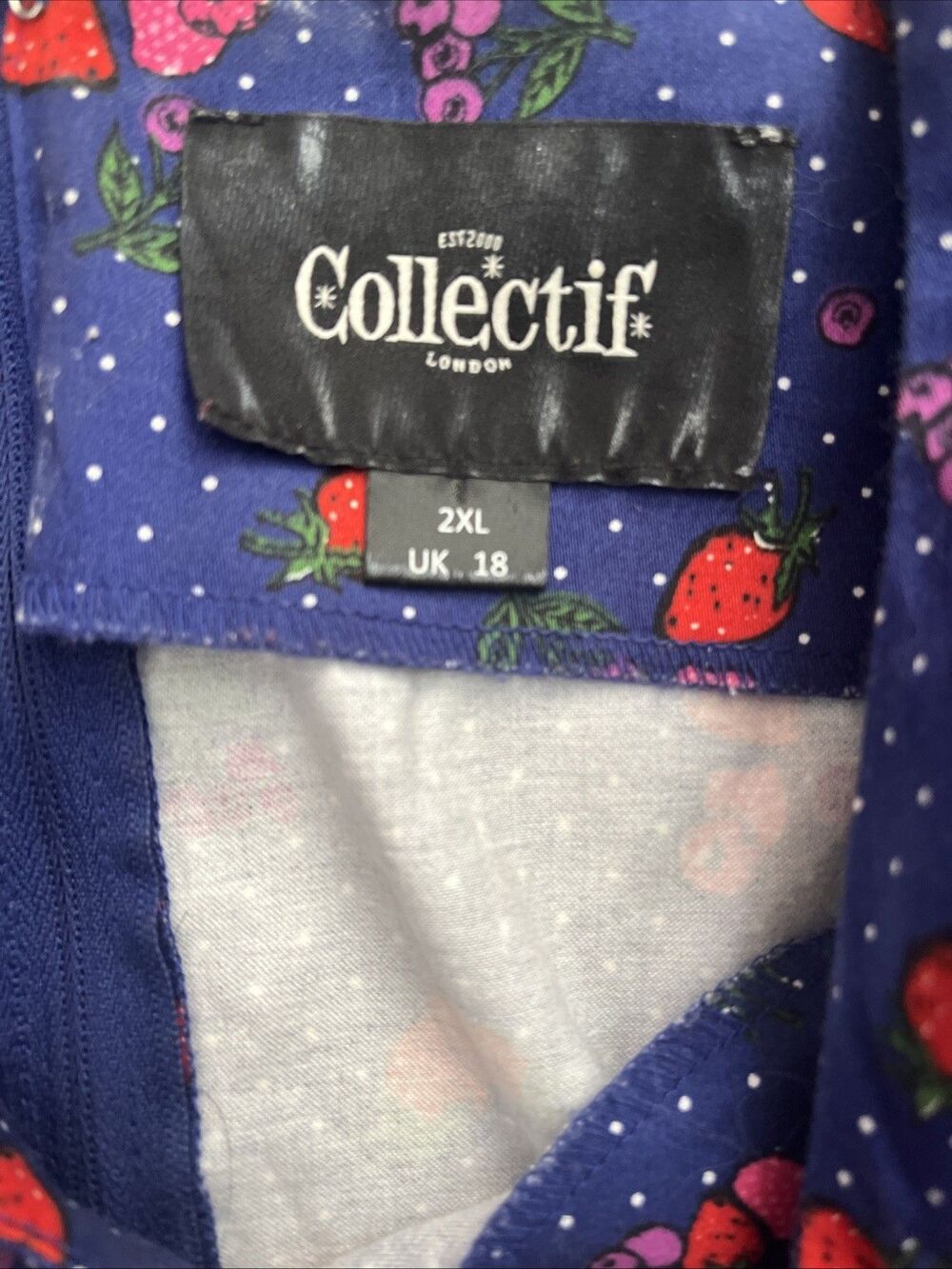 Collectif London Dress Size 2XL Kitsch Strawberry Twee Preppy Retro Nerd Cotton - Picture 3 of 11